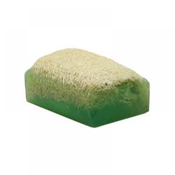 Kabak Lifli Aloe Vera Sabunu