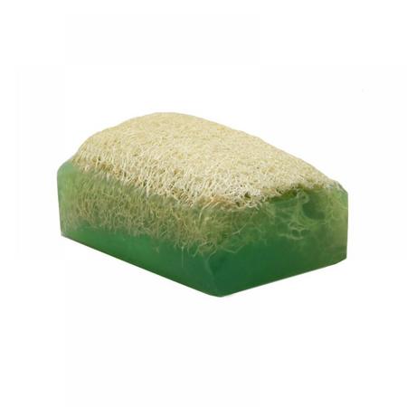 Kabak Lifli Aloe Vera Sabunu