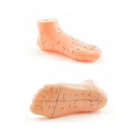 Akupunktur Ayak Maketi