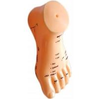 Akupunktur Ayak Maketi