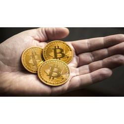 BitCoin Madeni Hediyelik Coin Sanal Para 3 Adet