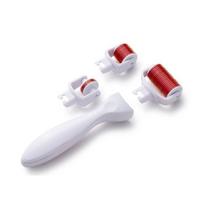 Derma Roller Titanyum İğneli 3 Başlıklı Set