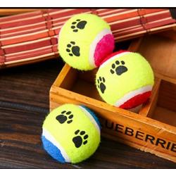 Evcil Hayvan Eğitim Topu 2 Lİ Set
