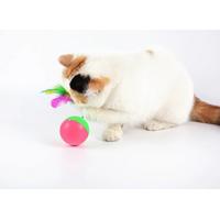 Kedi Oyun Topu Fareli Hacı Yatmaz