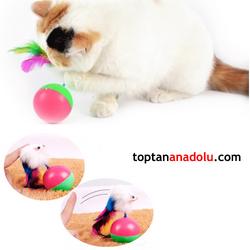 Kedi Oyun Topu Fareli Hacı Yatmaz