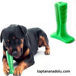 Köpek Diş Fırçası Isırma Aparatı Büyük Boy