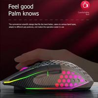 Philips Işıklı Mause