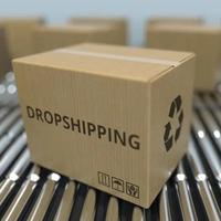 Yıllık Dropshipping Paket 