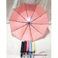10 Telli Full Otomatik Işıklı Şemsiye